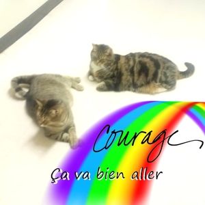 Meet your Posher, Yolande